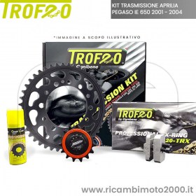 TROFEO PEGASO IE 650 2001 - 2004